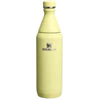 Stanley The All Day Slim Soğuk Su Şişesi 0.60 LT