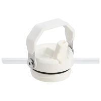 STANLEY  The IceFlow™ Bottle Flip Straw 2.0 0.47L / 16oz Buz Beyaz