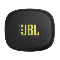 Endurance Zone, Kulaklık, IE, CT