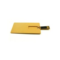 Çevre Dostu Kart USB Bellek