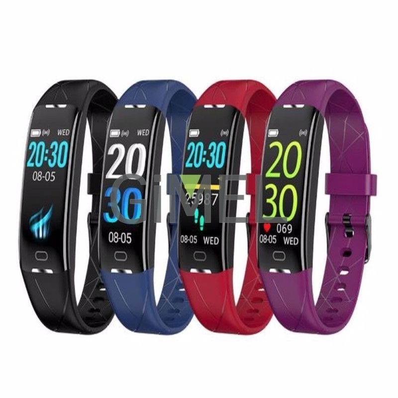 Smart Wristband